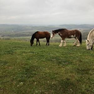 Meet your Posher, Becca